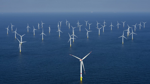 Leil&atilde;o para parque de e&oacute;licas &lsquo;offshore&rsquo; em Leix&otilde;es continua em cima da mesa e avan&ccedil;a em 2025