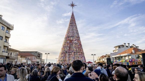 Fica em Cortegaça a maior árvore de Natal do país feita em croché