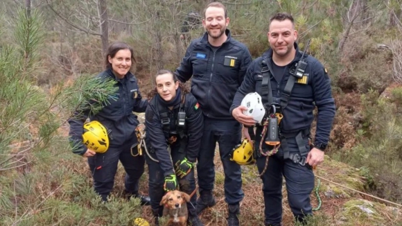 Bombeiros resgatam cão preso de uma mina em Vila Pouca de Aguiar