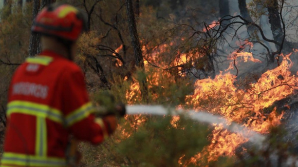 Autarquias do Norte e Centro com 16 milhões de euros para recuperar equipamentos afetados nos incêndios