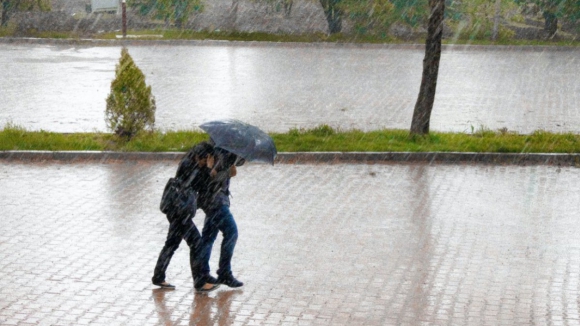 Proteção Civil registou 276 ocorrências devido à chuva e vento fortes