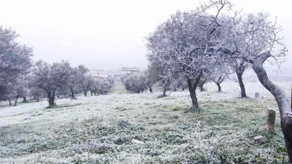 Eis as imagens do sincelo que pintou de branco Trás-os-Montes