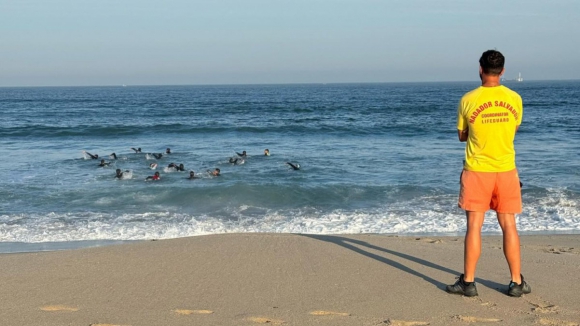 Viana do Castelo lança concurso de mais de 400 mil euros para vigilância nas praias