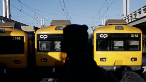 Linha ferroviária entre Santo Tirso e Guimarães suspensa devido à queda de árvore