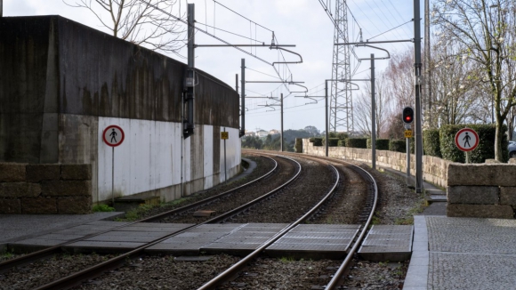 Reposta circulação da Linha Azul do metro do Porto após queda de árvore