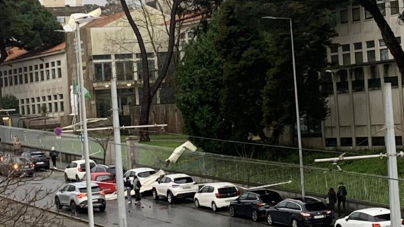 Escola Gonçalves Zarco em Matosinhos evacuada devido a queda de árvore