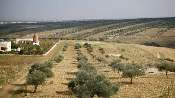 Parlamento vota hoje altera&ccedil;&otilde;es ao diploma que permite construir em solos r&uacute;sticos
