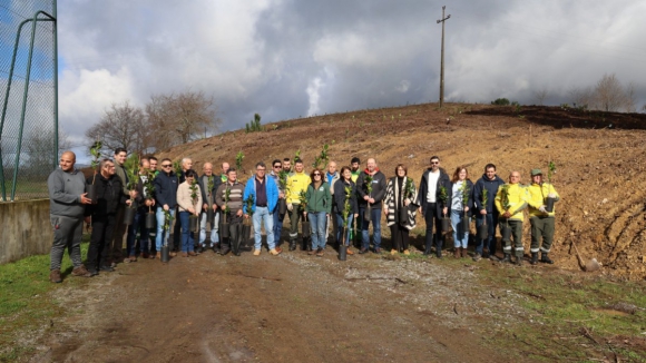 Aldeia em Viana do Castelo transforma baldios em pomar para prevenir fogos