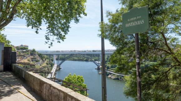 Como votou a cidade do Porto? Confira a freguesia do Bonfim