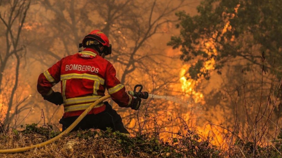 Despesas com preven&ccedil;&atilde;o de inc&ecirc;ndios em Portugal subiram de 20% em 2017 para 61% em 2022