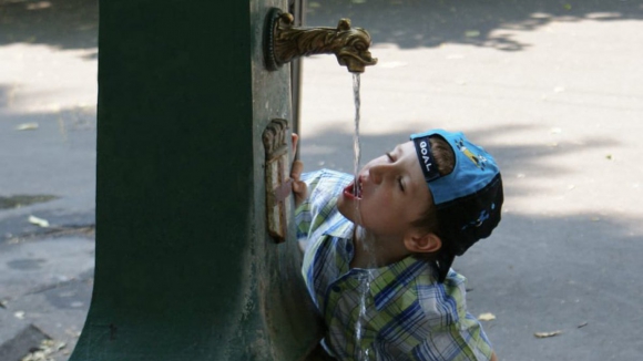 IPMA pondera subir alerta para vermelho em alguns distritos devido ao calor