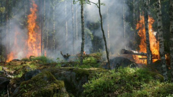 Cerca de 80 concelhos de 10 distritos do continente em risco m&aacute;ximo de inc&ecirc;ndio