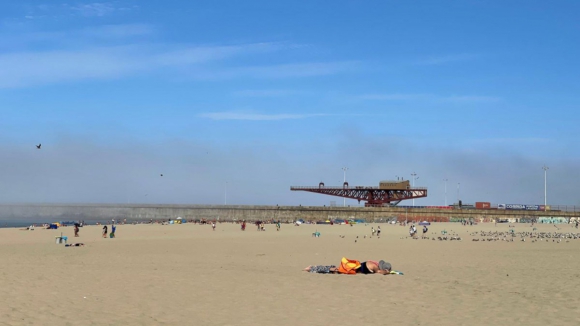 Vereador do PSD de Matosinhos acusa presidente de n&atilde;o resolver polui&ccedil;&atilde;o das praias