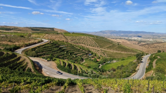 PS, PCP, Chega, PAN, IL e CDS prop&otilde;em medidas para apoiar viticultores do Douro