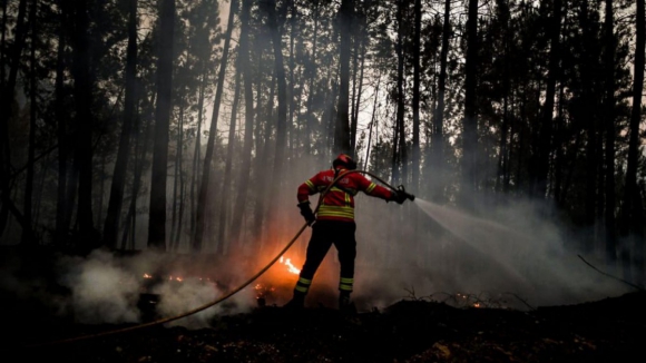 Dominado fogo que deflagrou de madrugada em Arcos de Valdevez