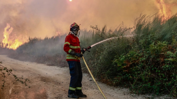 Mais de 100 operacionais e oito meio a&eacute;reos combatem fogo em Arouca
