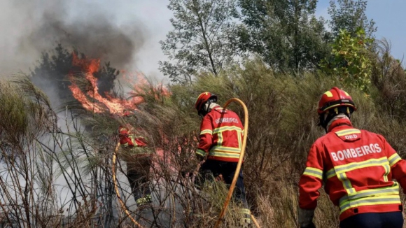 Fogo em Ponte de Lima com frente de seis quil&oacute;metros que amea&ccedil;a habita&ccedil;&otilde;es