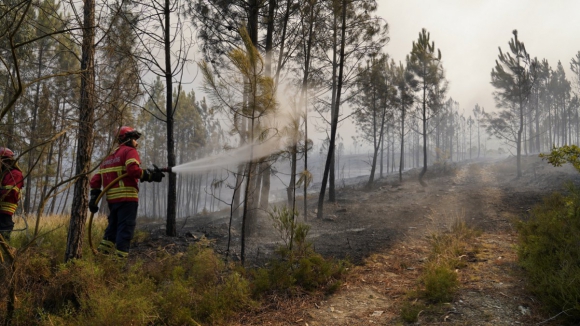 Estrada Nacional 108 cortada ao tr&acirc;nsito em Melres devido a inc&ecirc;ndio