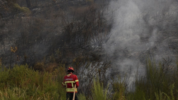 Fogo em Ponte de Lima consumiu mais de 800 hectares de mato e floresta