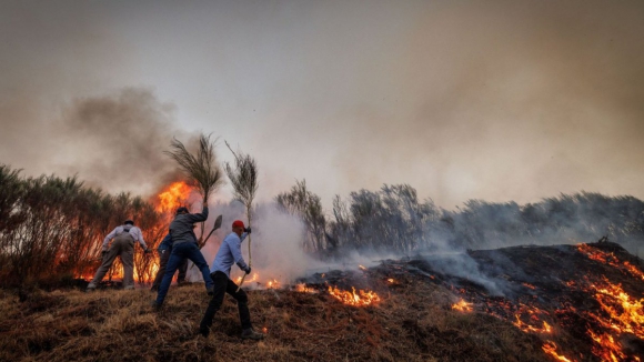 Prote&ccedil;&atilde;o Civil prev&ecirc; dar fogos de Vila Real e Celorico de Basto como dominados esta segunda-feira