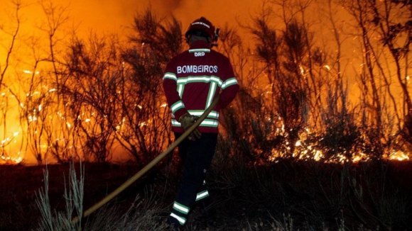 Agricultura na Peneda-Ger&ecirc;s deve ser apoiada por proteger ecossistemas - investigadora