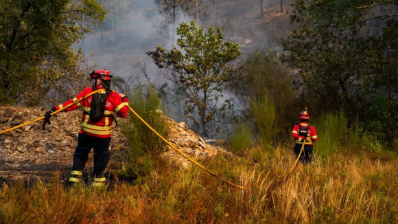 Prote&ccedil;&atilde;o Civil prev&ecirc; dar esta segunda-feira fogos de Vila Real e Celorico de Basto como dominados