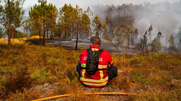 Mais de 7.500 hectares de &aacute;rea ardida no Parque Nacional da Peneda-Ger&ecirc;s