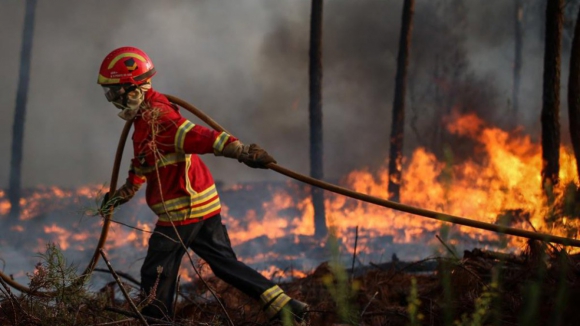 Pol&iacute;cia Judici&aacute;ria det&eacute;m suspeito de fogo posto em Cinf&atilde;es