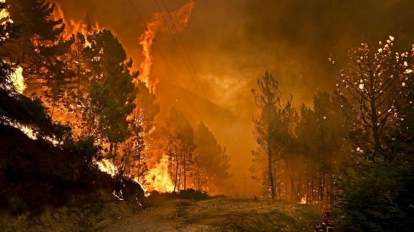 Suspeitos de atear fogos em Cinf&atilde;es, Felgueiras e Maia ficaram em pris&atilde;o preventiva