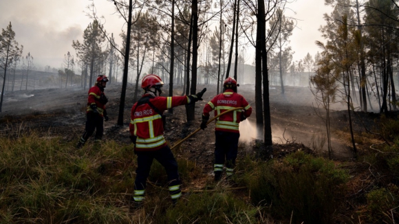 Cerca de 120 concelhos do interior Norte e Centro e Algarve em risco m&aacute;ximo de inc&ecirc;ndio