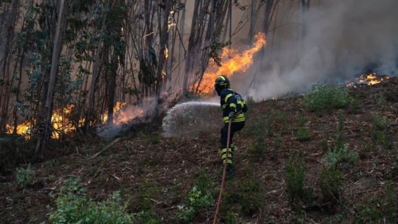 PJ deteve suspeito de atear quatro inc&ecirc;ndios em Gondomar