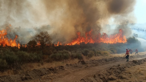 Autarca de Trancoso diz que se viveram "momentos de p&acirc;nico" em Terrenho