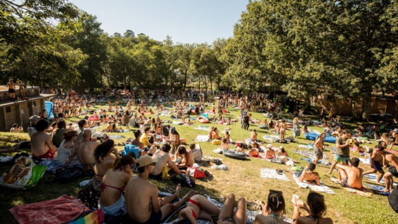 Paredes de Coura com Vampire Weekend, Franz Ferdinand e Lola Young arranca hoje