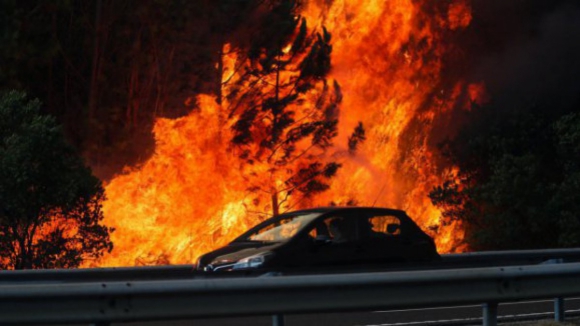 Von der Leyen diz que apoio que Portugal pediu "est&aacute; a ser mobilizado"