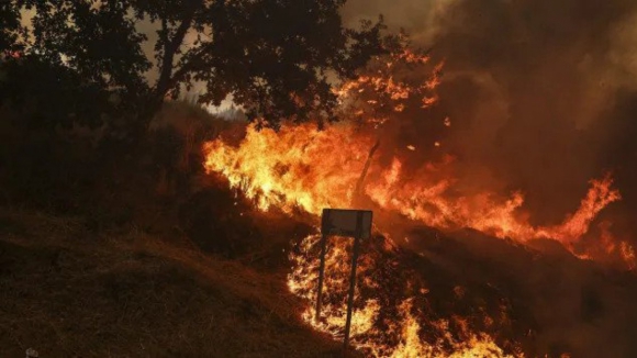 Chega questiona Governo sobre atraso na ativação do Mecanismo Europeu de Proteção Civil