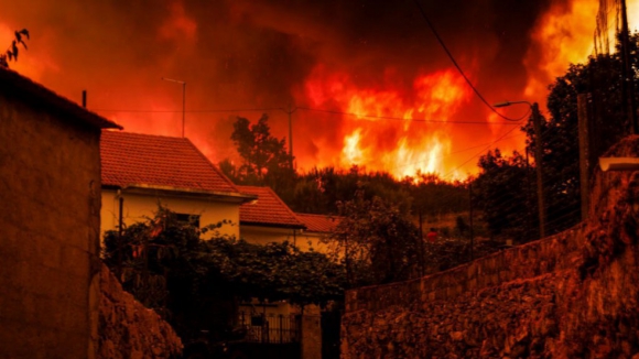Fogos consumiram 139 mil hectares, 17 vezes a &aacute;rea ardida em 2024