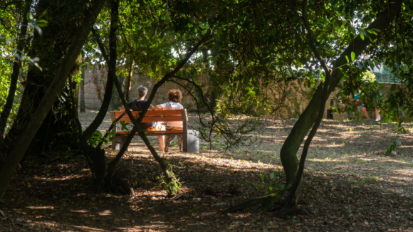 Jardim das Artes e Letras instala-se em Viseu com livros, música e cinema