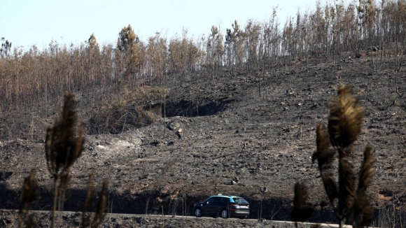 Plano de 282 milh&otilde;es de euros da AMP quer menos 80% de igni&ccedil;&otilde;es nos dias de risco elevado