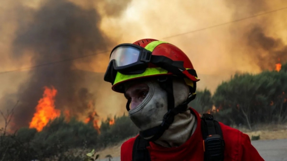 Fogo no Douro Internacional deixou rasto de destrui&ccedil;&atilde;o ambiental e agr&iacute;cola