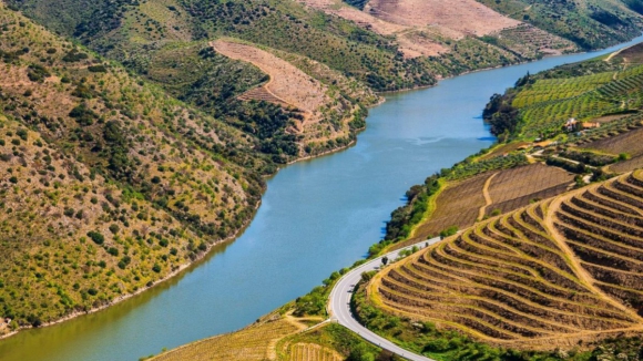 &Agrave; porta da vindima produtores pedem que Governo concretize medidas para o Douro