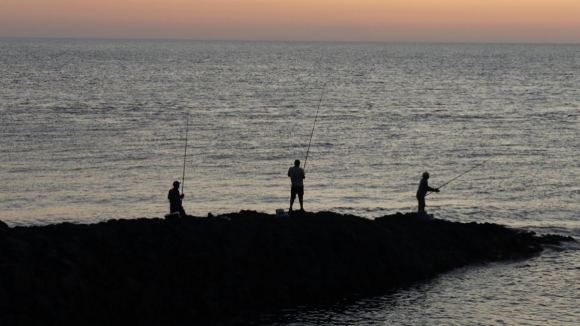 Pescadores pedem demiss&atilde;o do secret&aacute;rio das pescas, Governo desvaloriza