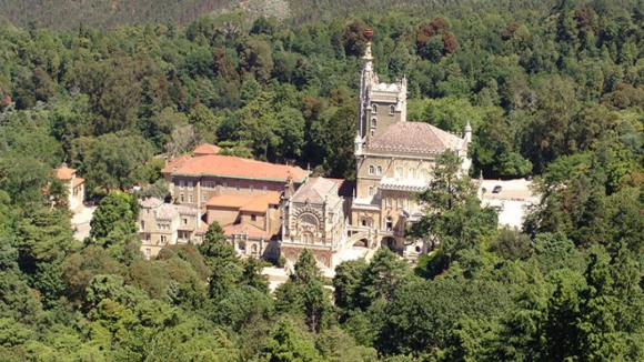 Atividade tur&iacute;stica da Mealhada cresceu cerca de 17% em 2024