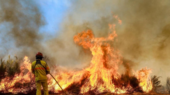 Tr&ecirc;s frentes ativas no inc&ecirc;ndio de Vinhais que lavra em dire&ccedil;&atilde;o a Ervedosa