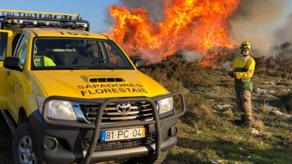 Sapadores florestais esperam por valoriza&ccedil;&atilde;o de carreira sem receio de avalia&ccedil;&otilde;es