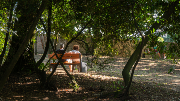 Primeiro Jardim das Artes e das Letras come&ccedil;a esta sexta-feira em Viseu com Rafael Toral