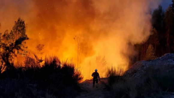 Fogo do Douro Internacional &eacute; uma cat&aacute;strofe natural e ambiental