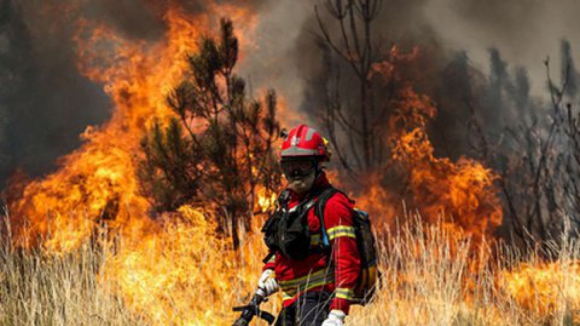Douro Internacional exige medidas c&eacute;leres para compensar preju&iacute;zos