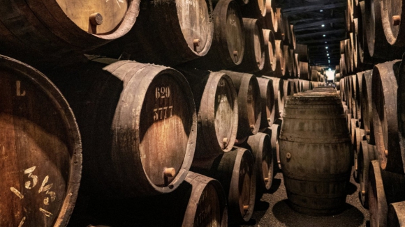 Dia do Vinho do Porto celebrado com provas gratuitas e exposi&ccedil;&atilde;o de r&oacute;tulos