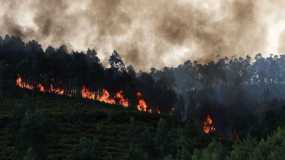 Arouca com balc&atilde;o para ajudar agricultores afetados por fogos que geraram danos de 10 milh&otilde;es de euros