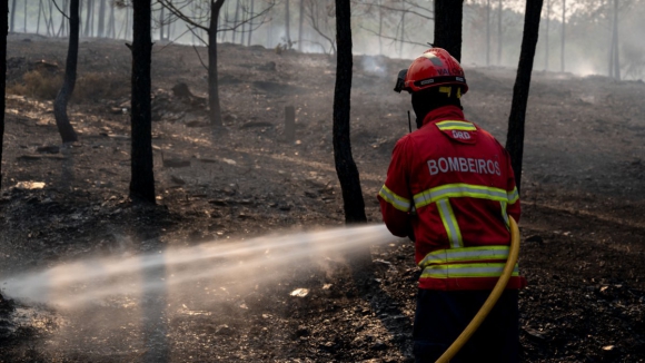 PJ det&eacute;m cinquentagen&aacute;rio suspeito de atear tr&ecirc;s fogos na Maia em agosto